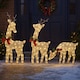 image 2 of Neo Set of 3 LED Lighted Reindeer Christmas Decorations Indoor Outdoor Holiday Yard Décor 210 Dual LED Lights Timer Weather Resistant Frame Festive Red Bows & Greenery