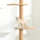 image 8 of PawHut 260cm Cat Tree Floor To Ceiling Adjustable Height