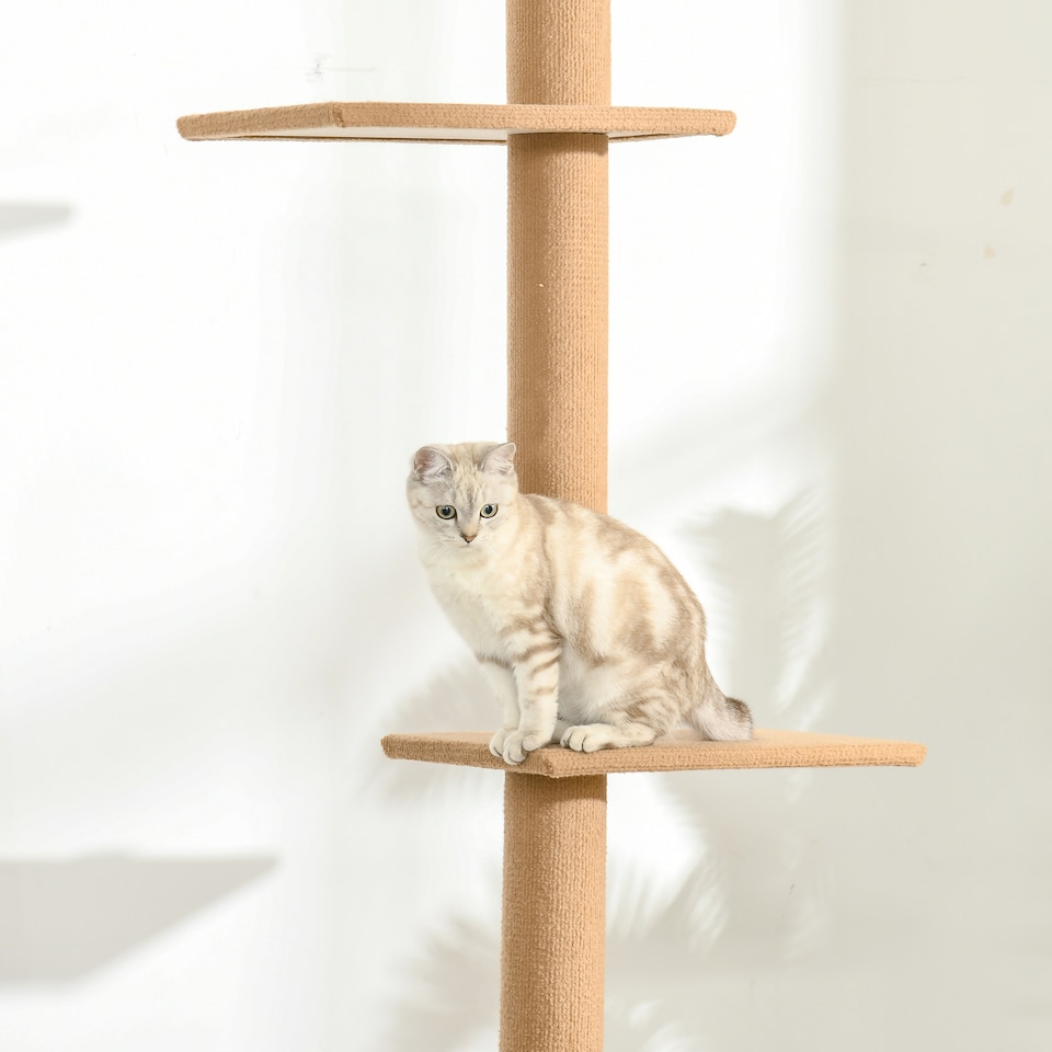image 1 of PawHut 260cm Cat Tree Floor To Ceiling Adjustable Height
