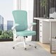 image 2 of Rattantree Ergonomic Office Chair with Flip Up Armrests & Lumbar Support