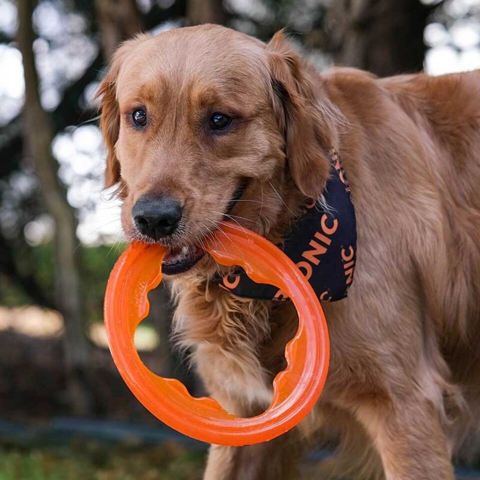 image 1 of BIONIC Toss-N-Tug Turbo Ring Dog Toy