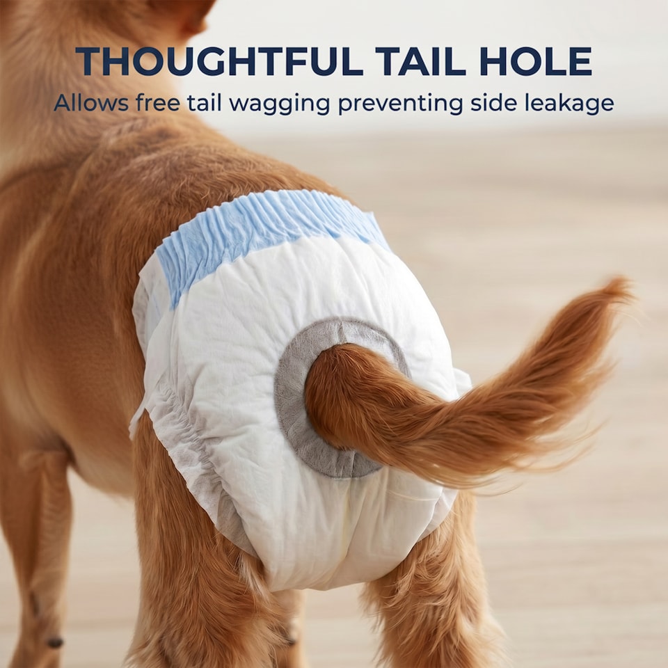 image 1 of PawHut Disposable Dog Diapers Female Dog Nappies S Dogs 48 Count