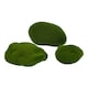 image 2 of Hill Interiors Faux Moss (Pack of 3) - Green - One Size
