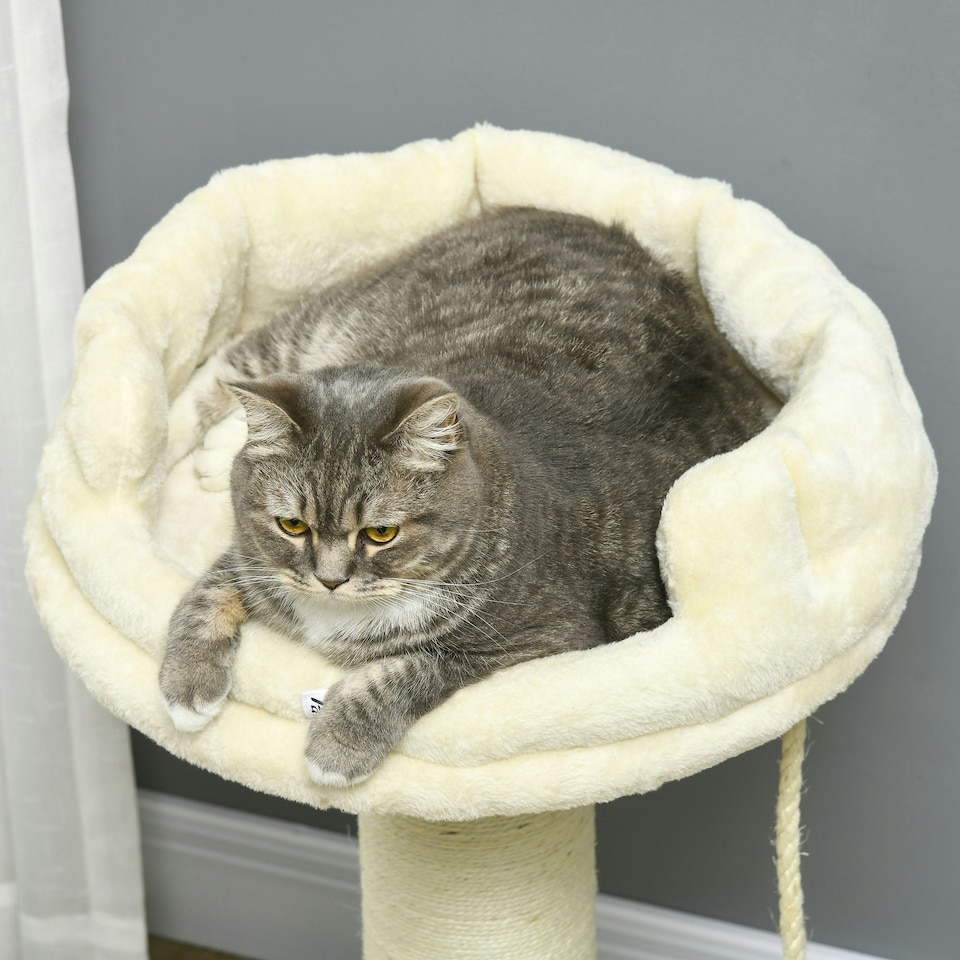 image 1 of PawHut 83cm Cat Tree Tower with Scratching Post, Kitten Bed, Toy, Cream
