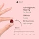 image 3 of Ashwagandha Gummies 1200mg - High Strength 5% Withanolides