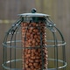 image 3 of Samuel Alexander Metal Hanging Bird Nut Feeder with Squirrel Guard