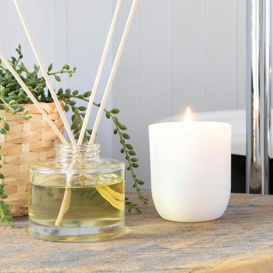 image 1 of Nicola Spring White Soy Wax Scented Candle - 130g - Coconut & Lime