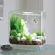 image 3 of biOrb FLOW 30L Aquarium Fish Tank in White with MCR LED Lighting