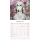 image 3 of Afghan 2026 Calendar | Square Wall Calendar | Dog Breed Gift | Plastic Free Packaging | by Avonside Publishing