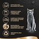 image 5 of Sheba Fresh and Fine Wet Cat Food Pouch Chicken and Turkey in Jelly 6 x 50g (Pack of 8)
