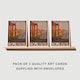 image 2 of Rome Forum Italy Greeting Card Historic Travel Set of 3 Blank 5x7 Inch 13x18 cm