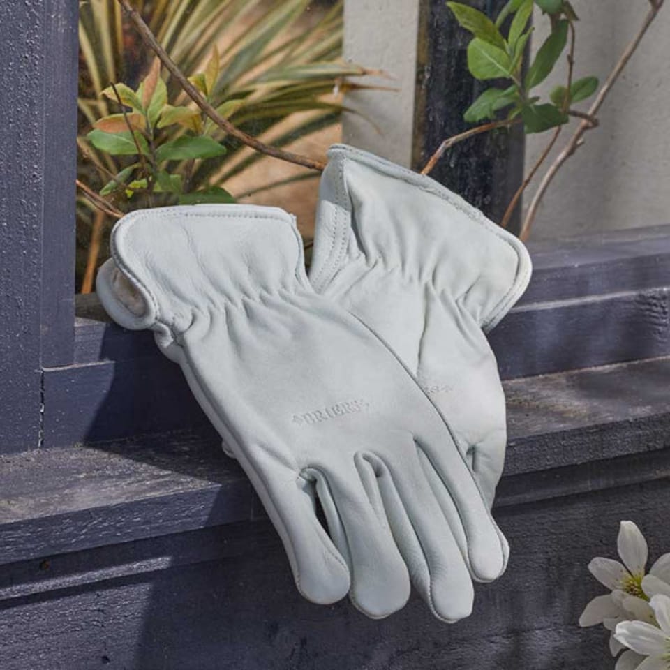 image 1 of Briers Ultimate Lined Leather Gardening Gloves, White, Large