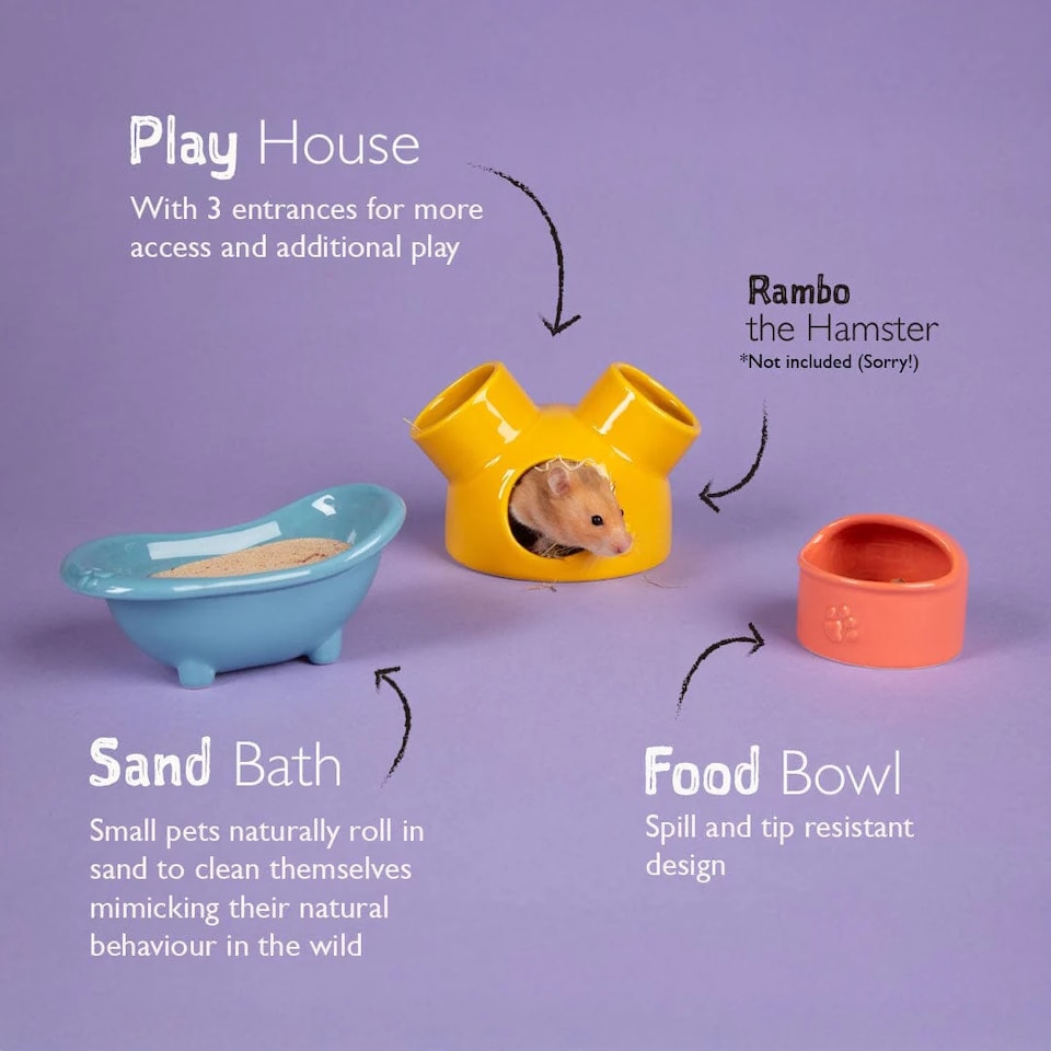 image 1 of Scruffs Small Pet Colours Ceramic Set - House, Sand Bath & Food Bowl