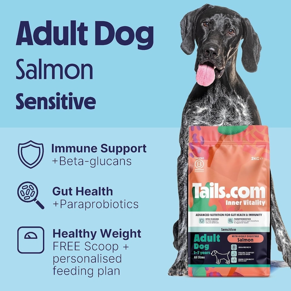 image 1 of Tails.com Inner Vitality Dry Dog Food Adult Sensitive Salmon 4 x 2kg