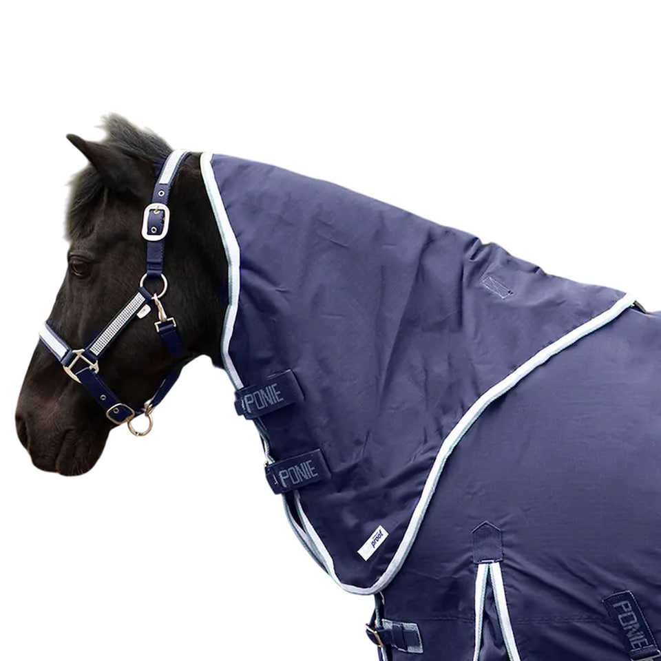 Gallop Trojan Standard-Neck 5-Point Duraproof Lightweight Horse Turnout Neck Cover | Blue | Navy | XL | 1