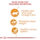 image 9 of ROYAL CANIN® Intense Beauty Care Adult Wet Cat Food N/A | Size: 12 x 85g
Texture: Jelly