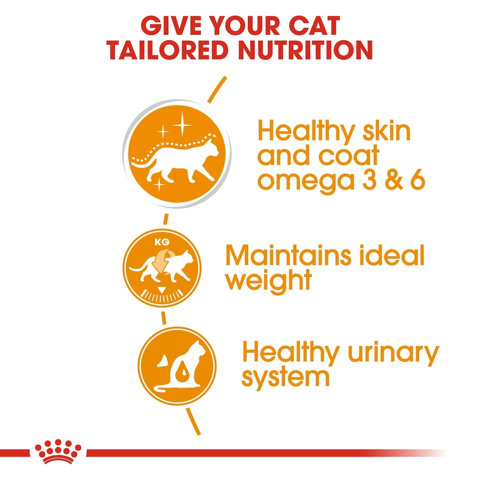 image 1 of ROYAL CANIN® Intense Beauty Care Adult Wet Cat Food N/A | Size: 12 x 85g
Texture: Jelly