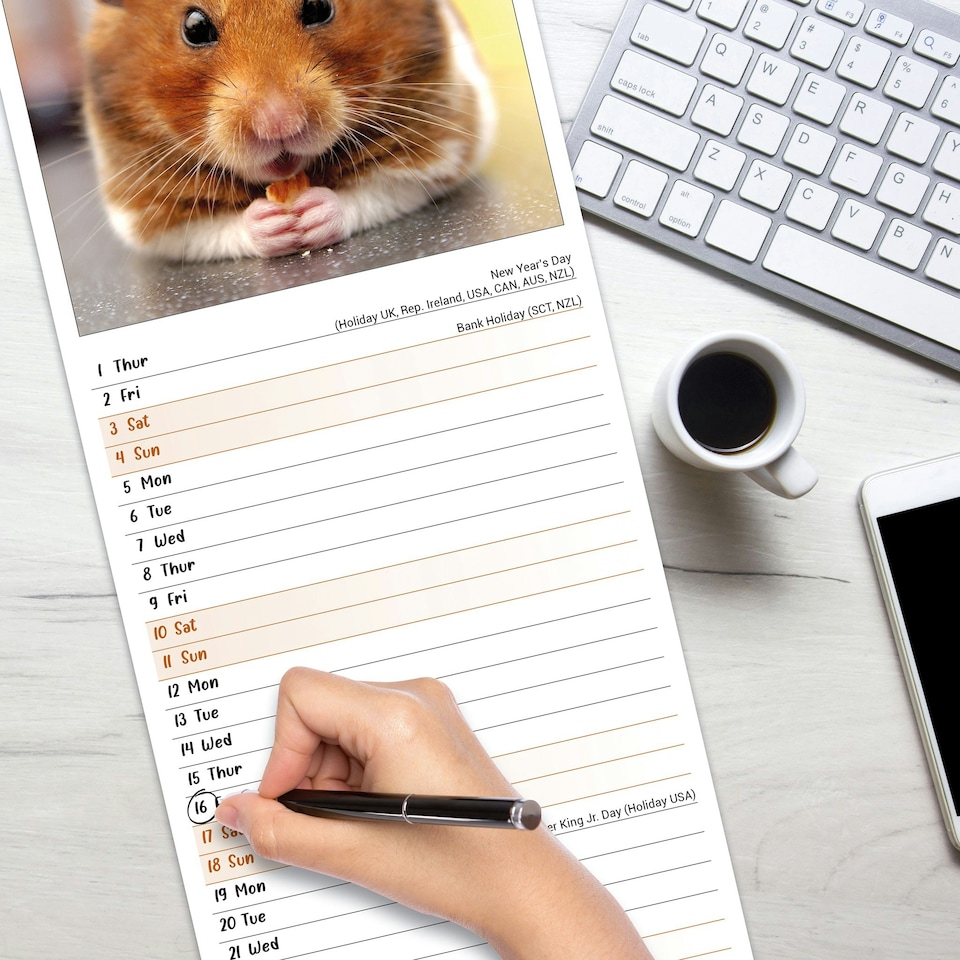 image 1 of Hamsters Slim 2026 Calendar | Slimline Wall Calendar | Animal Gift | Plastic Free Packaging | by Avonside Publishing [Calendar] Avonside Publishing Ltd