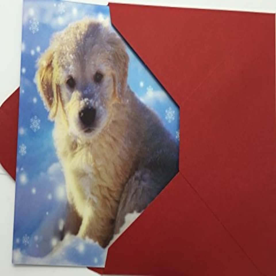 image 1 of 3D Holographic Up Close PUPPY IN SNOW Christmas Greeting Card