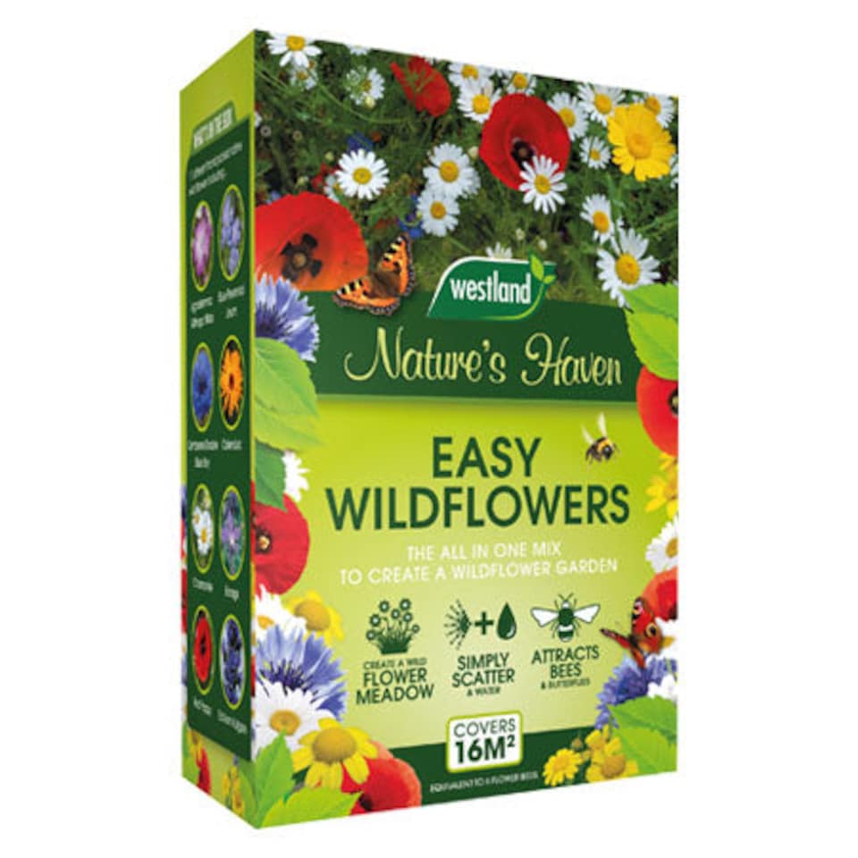 image 1 of Natures Haven Easy Wildflower Seed Mix, Pollinator-Friendly with Added Fertiliser 1.2kg box