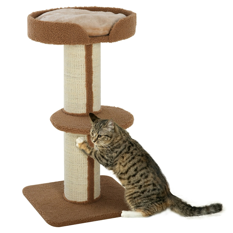 image 1 of PawHut 91cm Scratching Posts Cat Tree Activity Centre for Indoor Cats Brown