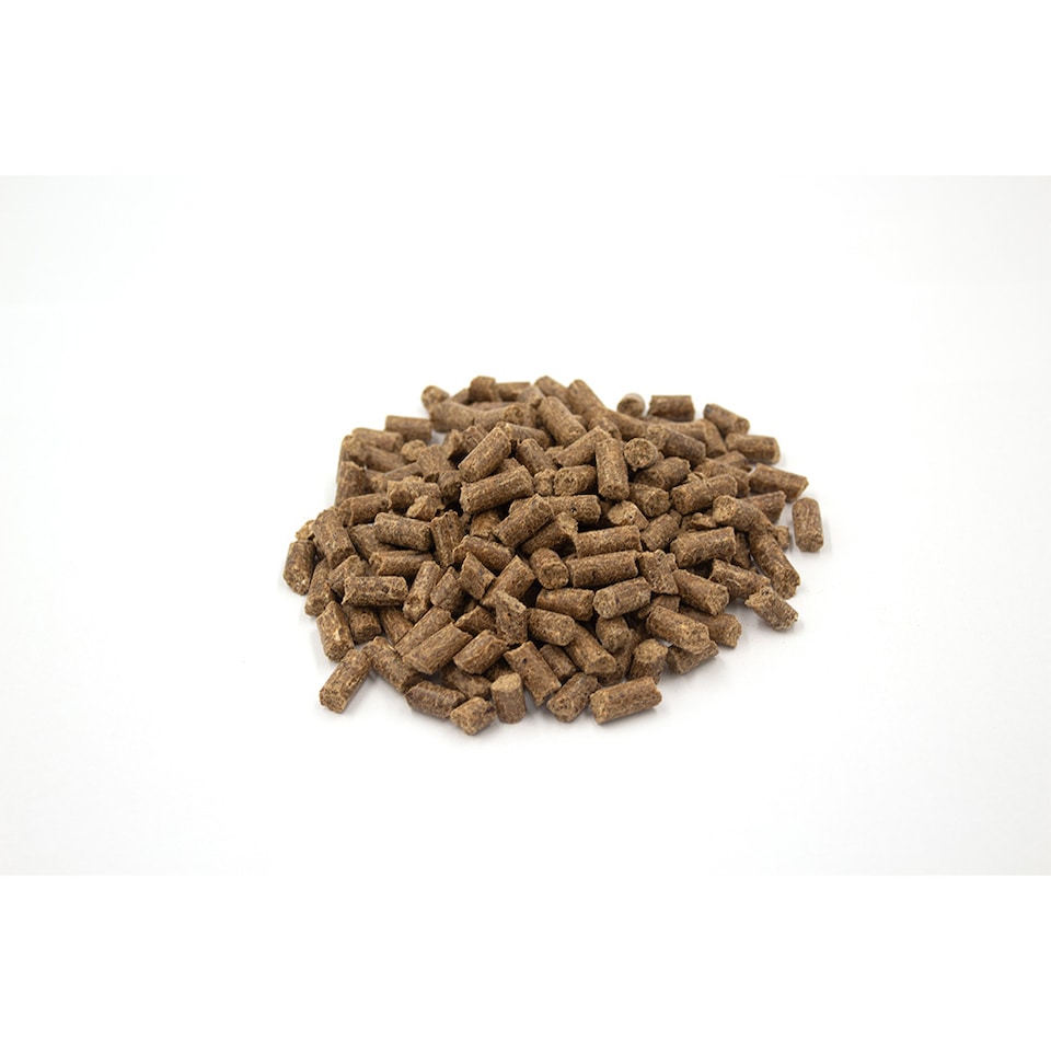 image 1 of Pero Cold Pressed Dog Food - Salmon & Sweet Potato | Brown | 12kg | Salmon | 1