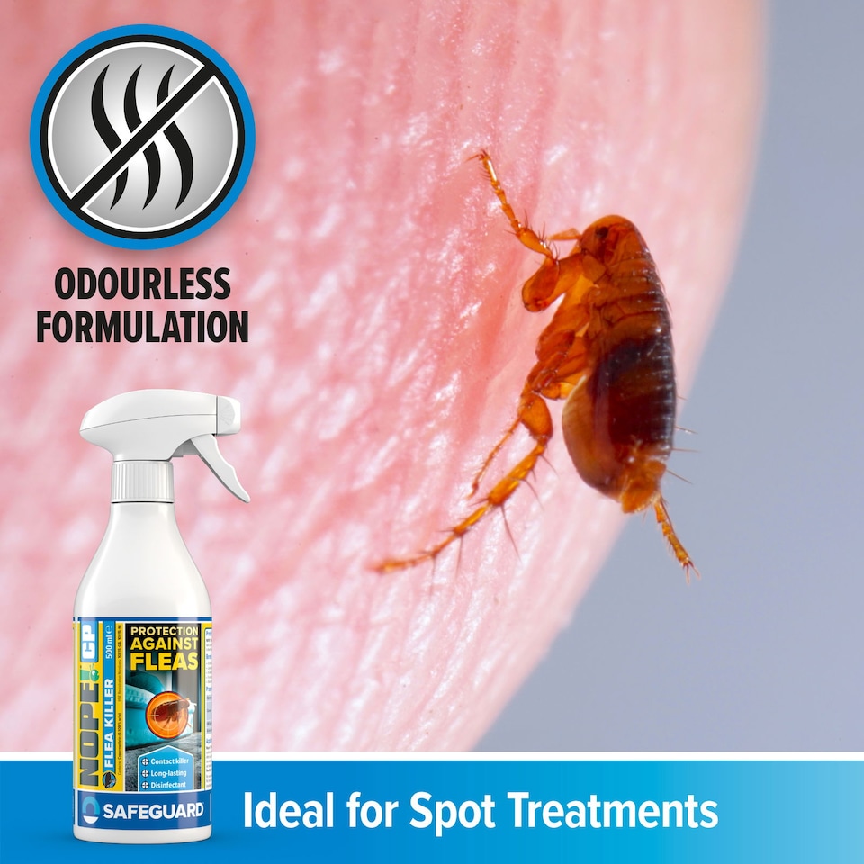 image 1 of NOPE CP Flea Spray (500ml) for The Home - Fast-Acting, Odourless & Non-Staining. Indoor & Outdoor Flea Killer