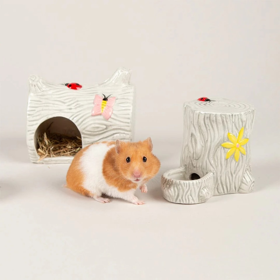 image 1 of Scruffs Small Pet Woodland Ceramic Set - House, Water & Food Bowl