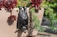 image 3 of Bat Plant Pot Hanger - L11 x W5.5 x H4.5 cm | Black