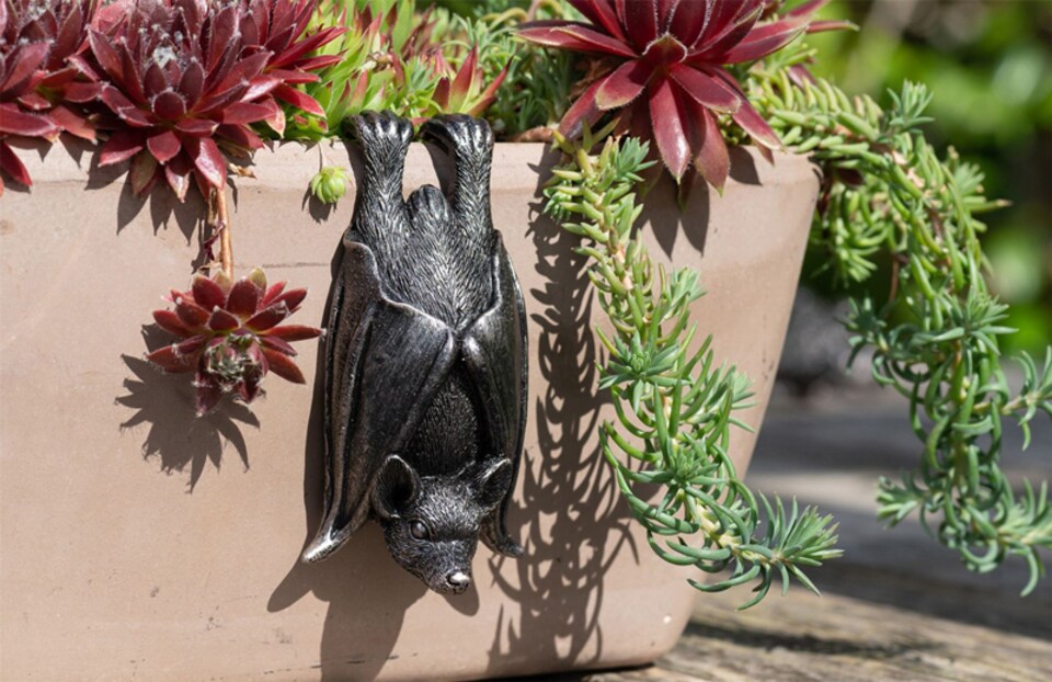 image 1 of Bat Plant Pot Hanger - L11 x W5.5 x H4.5 cm | Black