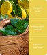 image 2 of Bamboo Patchouli & Guaiac Wood Essential Oil Blend  - 10ml Concentrated Oil - For Use With Ultrasonic Diffuser | Brown