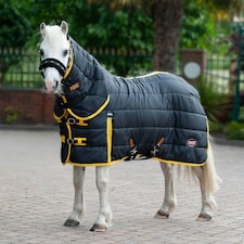 Gallop Equestrian Ponie 200 Stable Combo Black | Size: 3ft 9
Colour: Black/Yellow