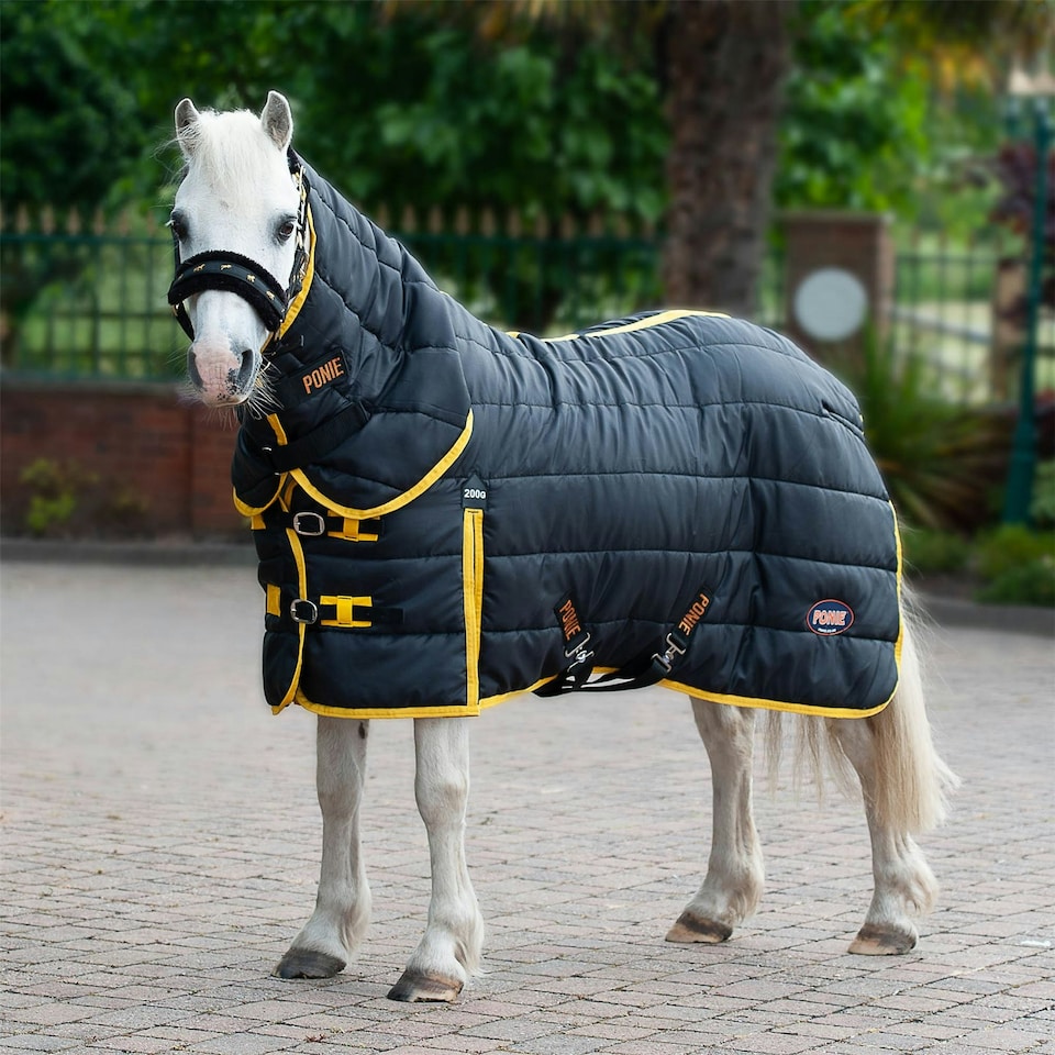 Gallop Equestrian Ponie 200 Stable Combo Black | Size: 3ft 9
Colour: Black/Yellow