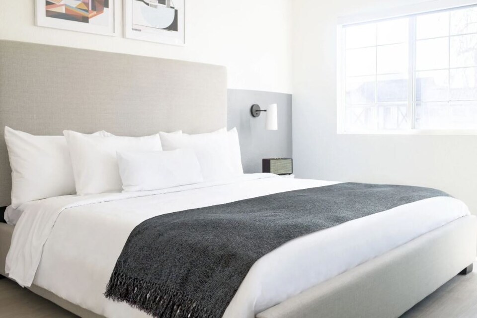 image 1 of Camilla Collection Chenille Throw in Charcoal (50" x 60") | Grey | Grey