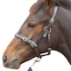 image 1 of Hy Leather Foal Head Collar - Brown - Large