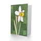 image 2 of Daffodil Spring Flower Bloom Green Stylised Him Her Birthday Art Card