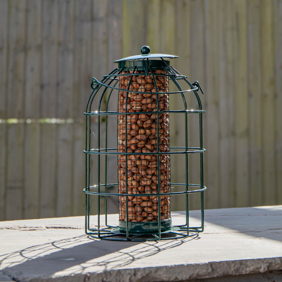 image 1 of Pack of 2 Samuel Alexander Metal Hanging Bird Nut Feeder with Squirrel Guard & Pack of Nut Feed