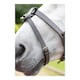 image 3 of Shires Blenheim Flash Strap | Brown | Size: Pony
Colour: H.Brown