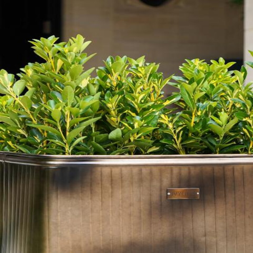 image 1 of Outdoor Hampton Rectangular Planter - Metal - L49 x W84 x H49 cm - Copper | Copper