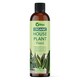 image 2 of Vitax Organic House Plant Feed, 250ml
