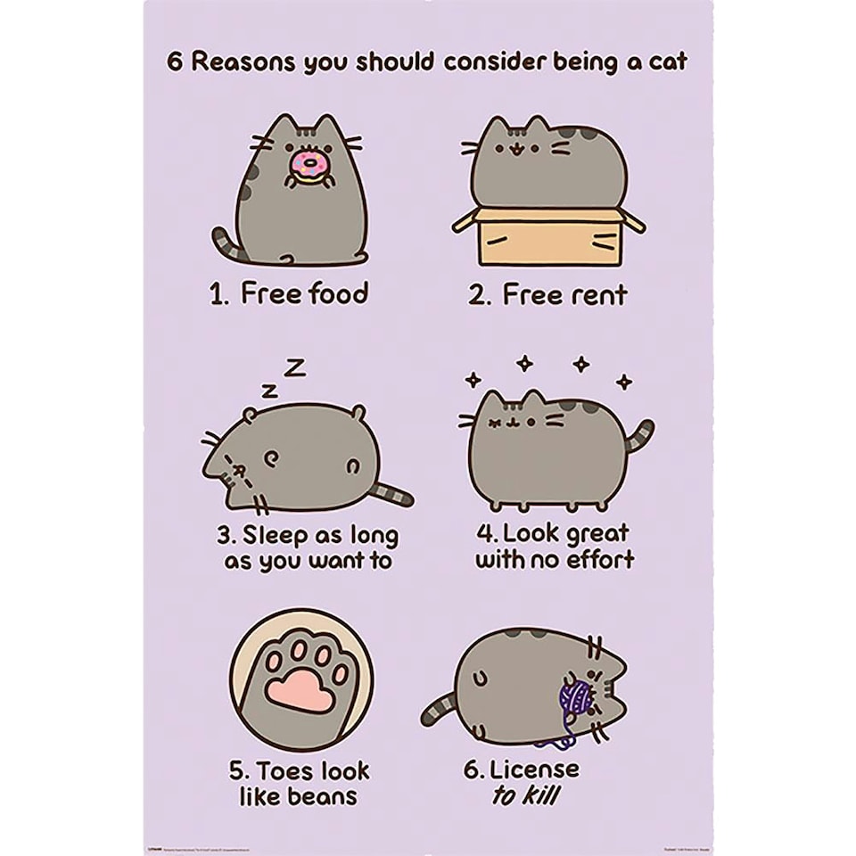 Pusheen Reasons Poster - Multi-colour - One Size