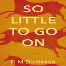 So Little To Go On