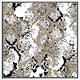 image 1 of Grunge pattern (Picutre Frame) Grey | M