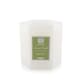 image 1 of Candle - Fig Leaf - 255g/9oz N/A