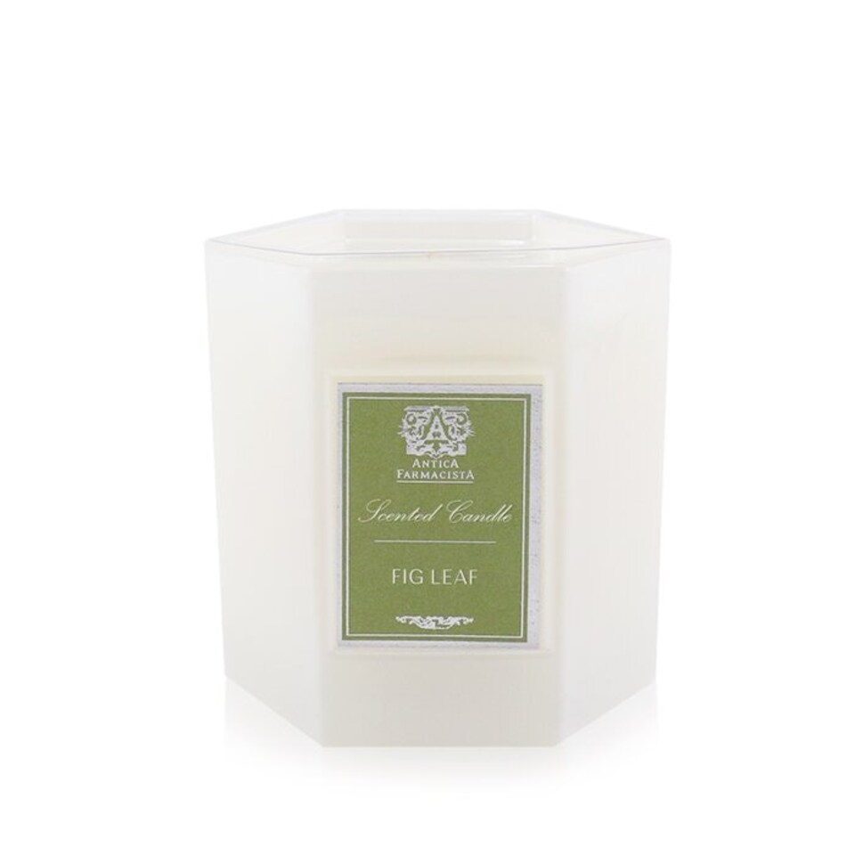 image 1 of Candle - Fig Leaf - 255g/9oz N/A