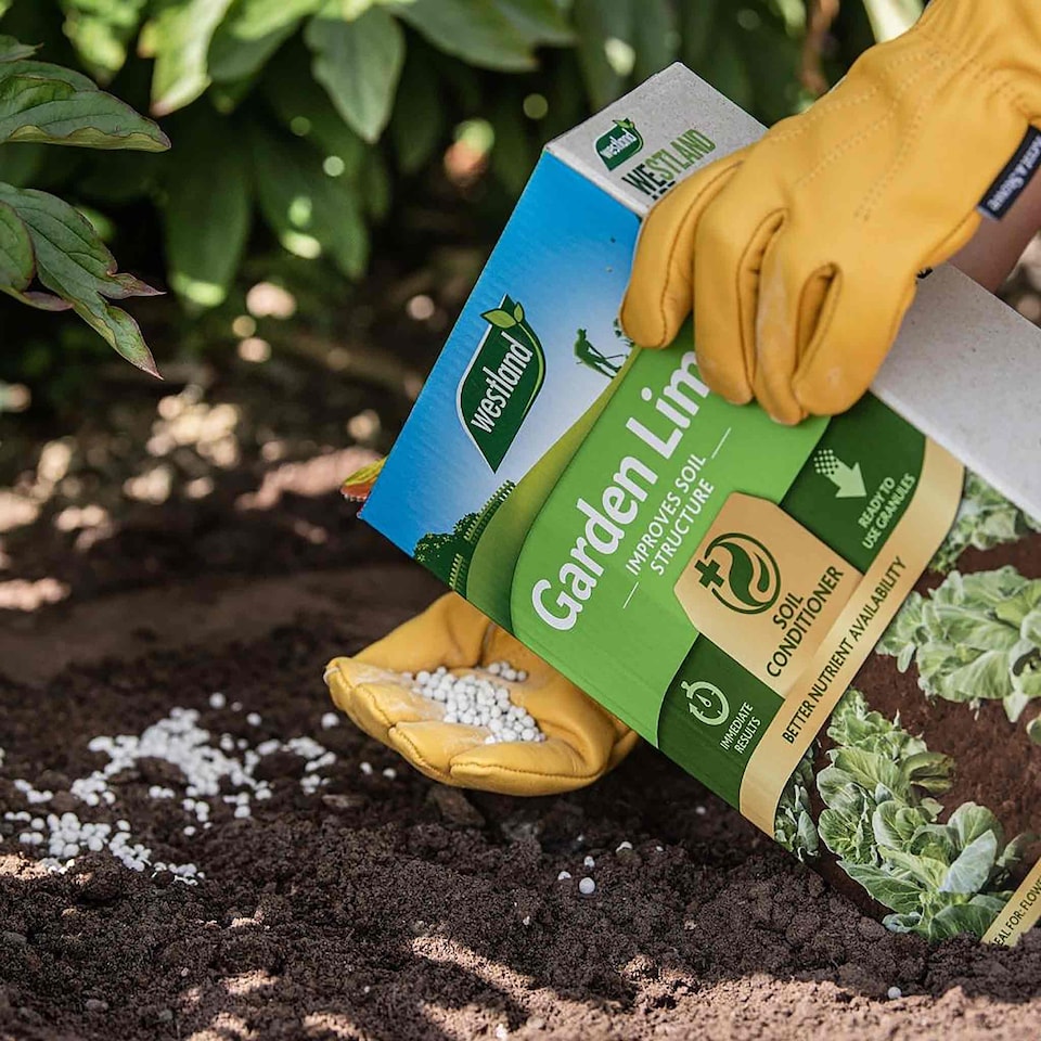 image 1 of Westland Garden Lime 4 kg | Multi | Box