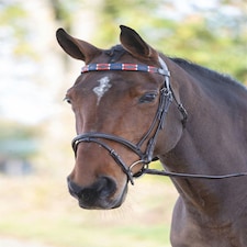 Shires Blenheim Leather Polo Browband Red | Size: Pony
Colour: Red/Navy
