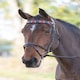 image 1 of Shires Blenheim Leather Polo Browband Red | Size: Pony
Colour: Red/Navy