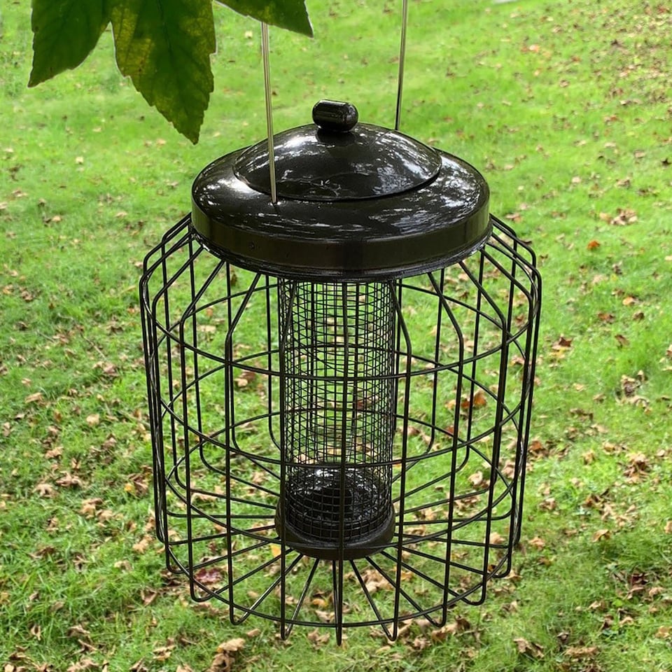 image 1 of Heavy Duty Squirrel Proof Hanging Bird Nut Feeder (Set of 2)