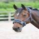 image 1 of Shires Fleece Lined Lunge Cavesson Blue | Size: Cob
Colour: Navy Blue
